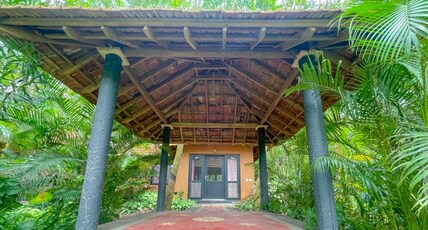 Eden Falls Resort Room Type - Queen Room