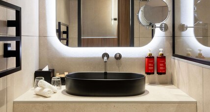 Pullman Lyon Room Type - EXECUTIVE DOUBLE ROOM, 1 double bed or twin beds and 1 single sofa bed