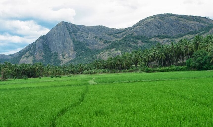 GAVAN HOMESTAY - Tap to explore photos