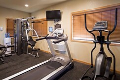 BEST WESTERN ALEXANDRIA INN