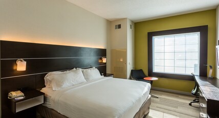Holiday Inn Express Hotel & Suites Reading Room Type - 1 King Bed Standard
