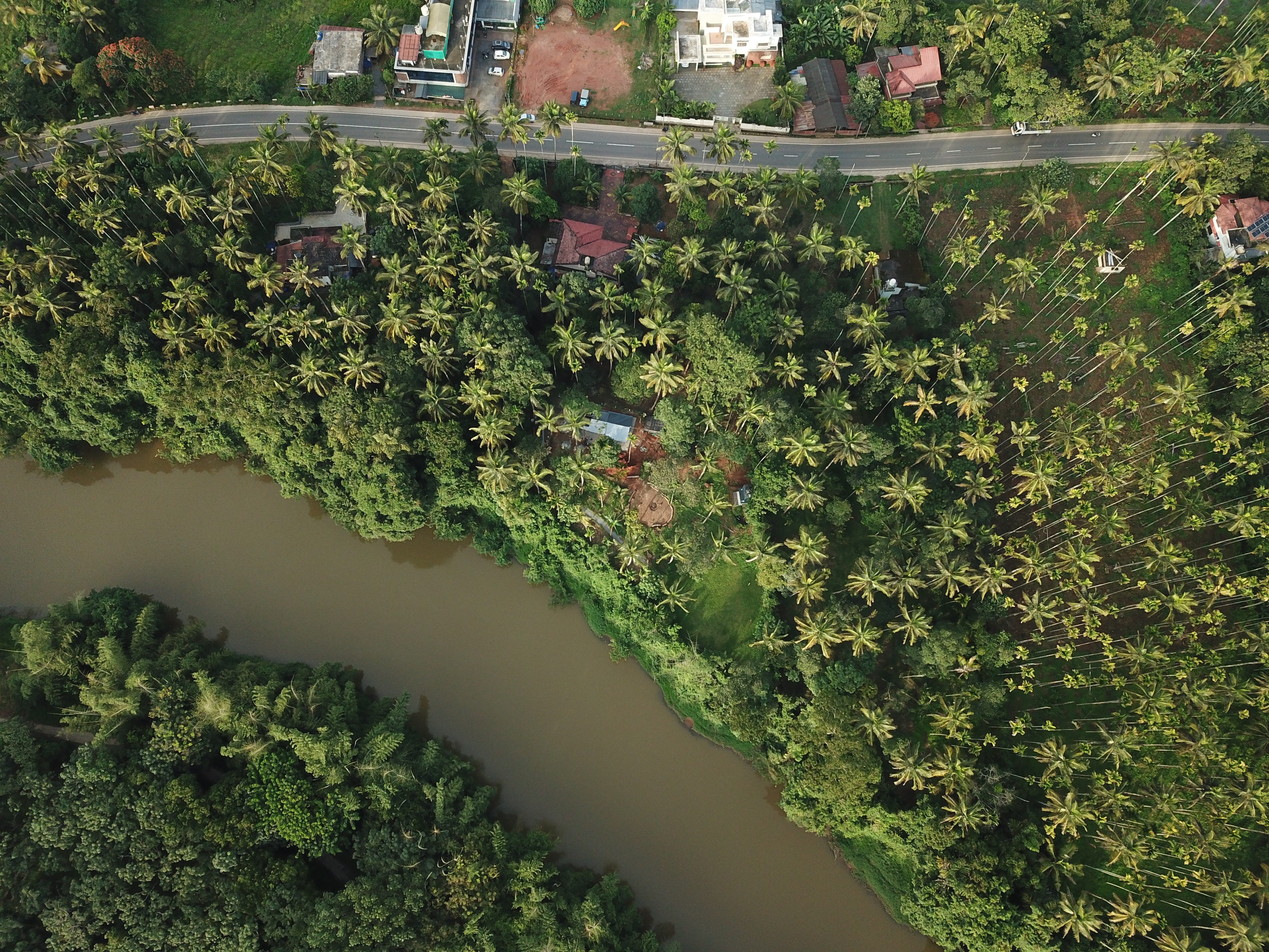 The Paddy Field Inn - Tap to explore photos
