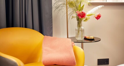 Park Plaza Vondelpark, Amsterdam Room Type - Deluxe Room-1 Queen