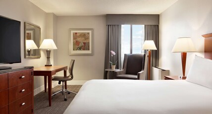 DoubleTree by Hilton Minneapolis - Park Place Room Type - 1 KING BED