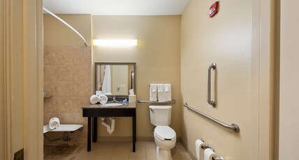 Holiday Inn Express BLOOMINGTON WEST Room Type - 1 Kng Bed Standard Comm Access Roll Shwr