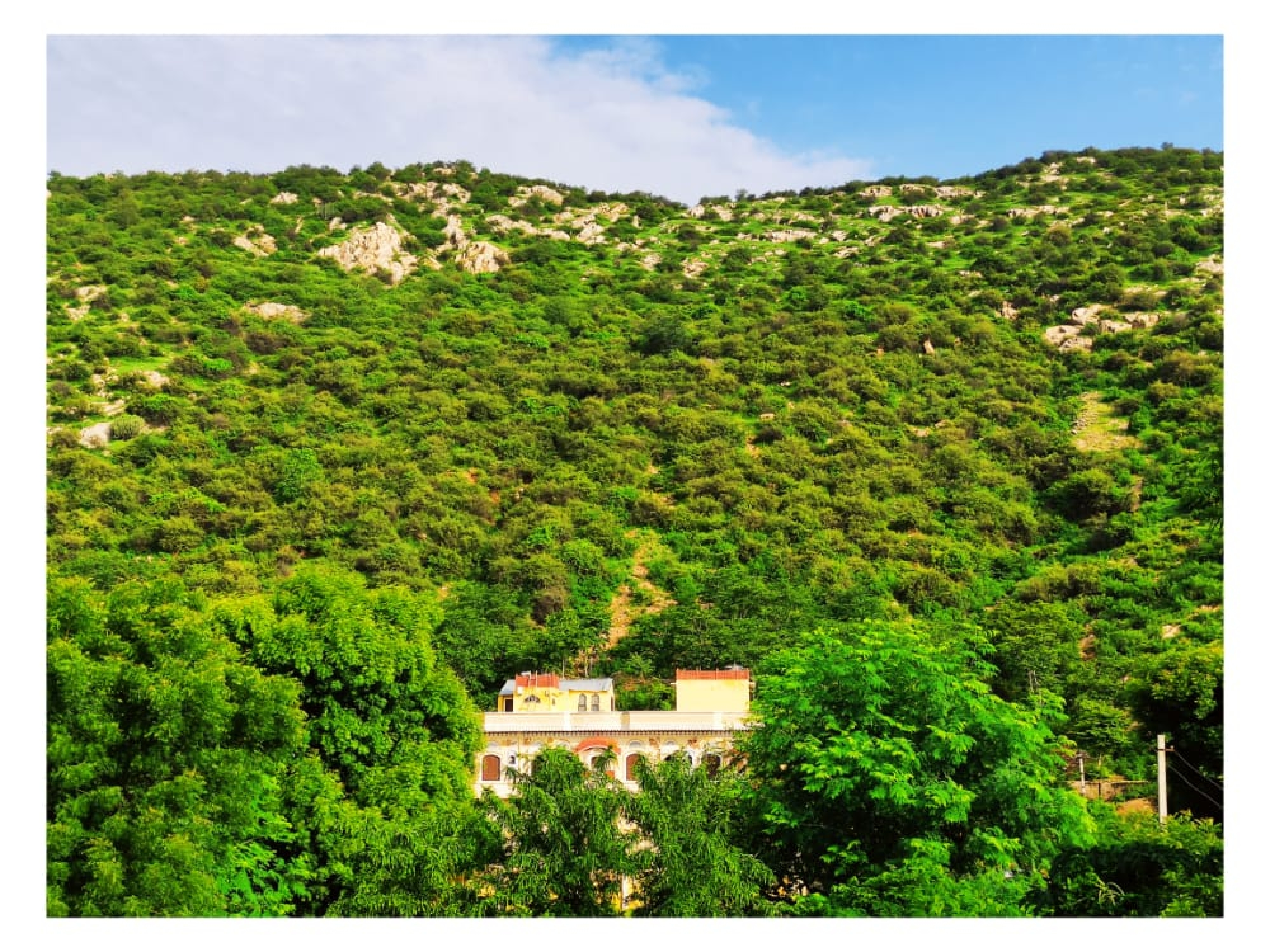 RAJ HAVELI - Tap to explore photos