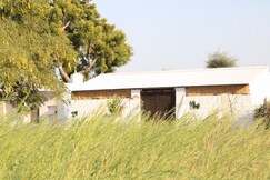 DSG SAFARI CAMP Jawai