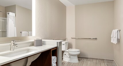 Holiday Inn Express & Suites HAYWARD Room Type - 1 King Stnd Comm and Mobility Access Roll In Shwr