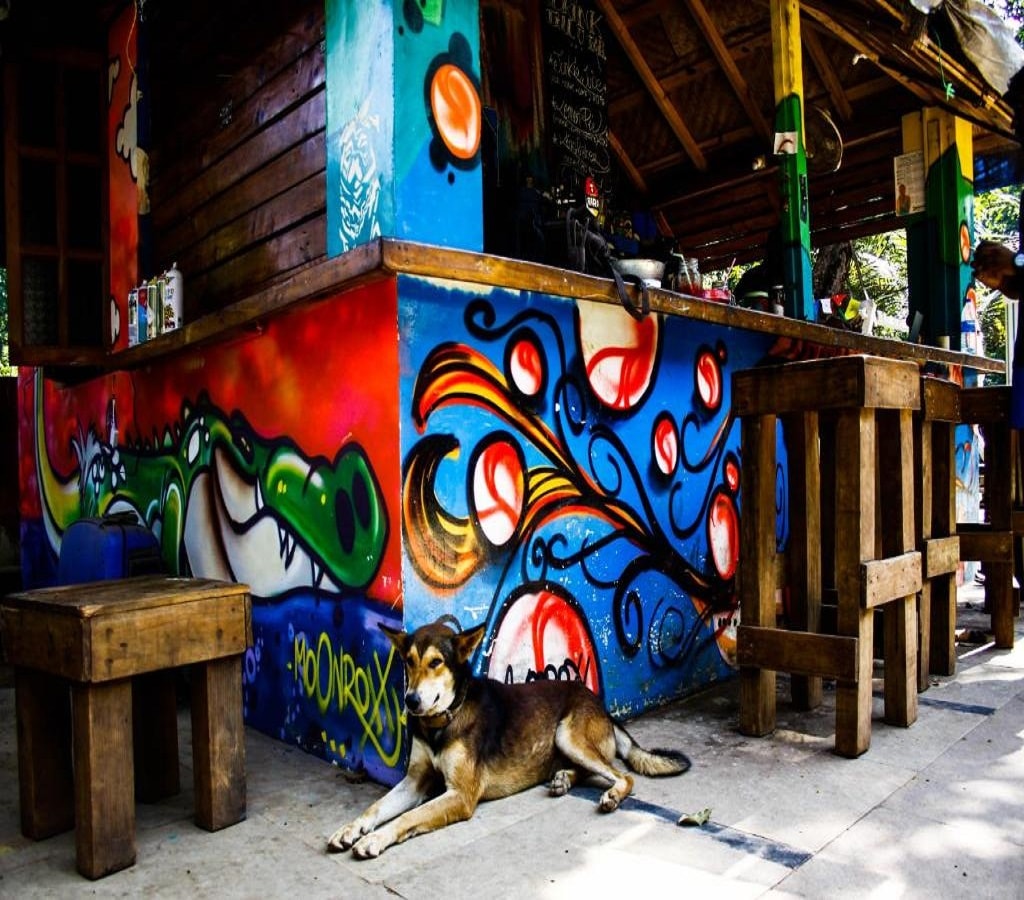 Pappi Chulo Hostel - Vagator - Tap to explore photos