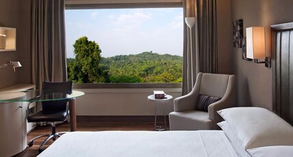 Hyatt Regency New Delhi Room Type - Hyatt King Room with Pool View