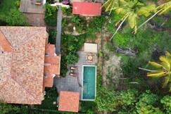 Caju Grove  The Big Yellow Goan House