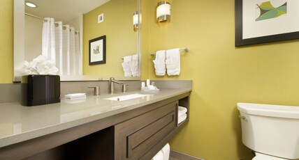 Hilton Garden Inn College Station Hotel Room Type - 1 KING BED