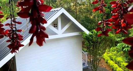 Rainforest Munnar Resort Room Type - premium Cottage