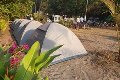 Travel Moody Campsite