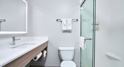 Holiday Inn Express Hotel & Suites SWIFT CURRENT, an IHG Hotel Room Type - 1 King Standard