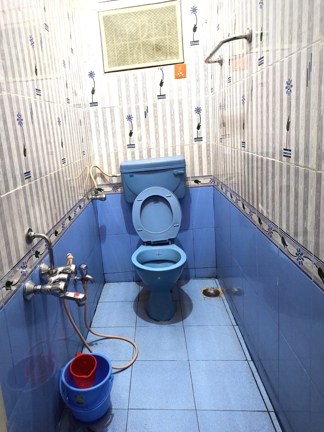 Green Groups - Tap to explore photos