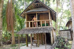 Emerald Gecko, Havelock Island