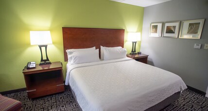 Holiday Inn Express Hickory - Hickory Mart Room Type - STANDARD ROOM