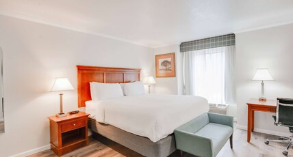 Ramada by Wyndham Mountain View Room Type - 1 King Bed with Jetted Tub, Non-Smoking