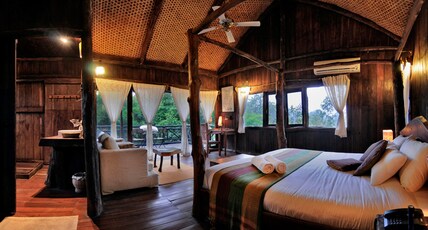 Tree House Hideaway Room Type - Tree House
