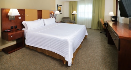 Holiday Inn Hotel & Suites HERMOSILLO AEROPUERTO Room Type - 1 King Standard Accessible