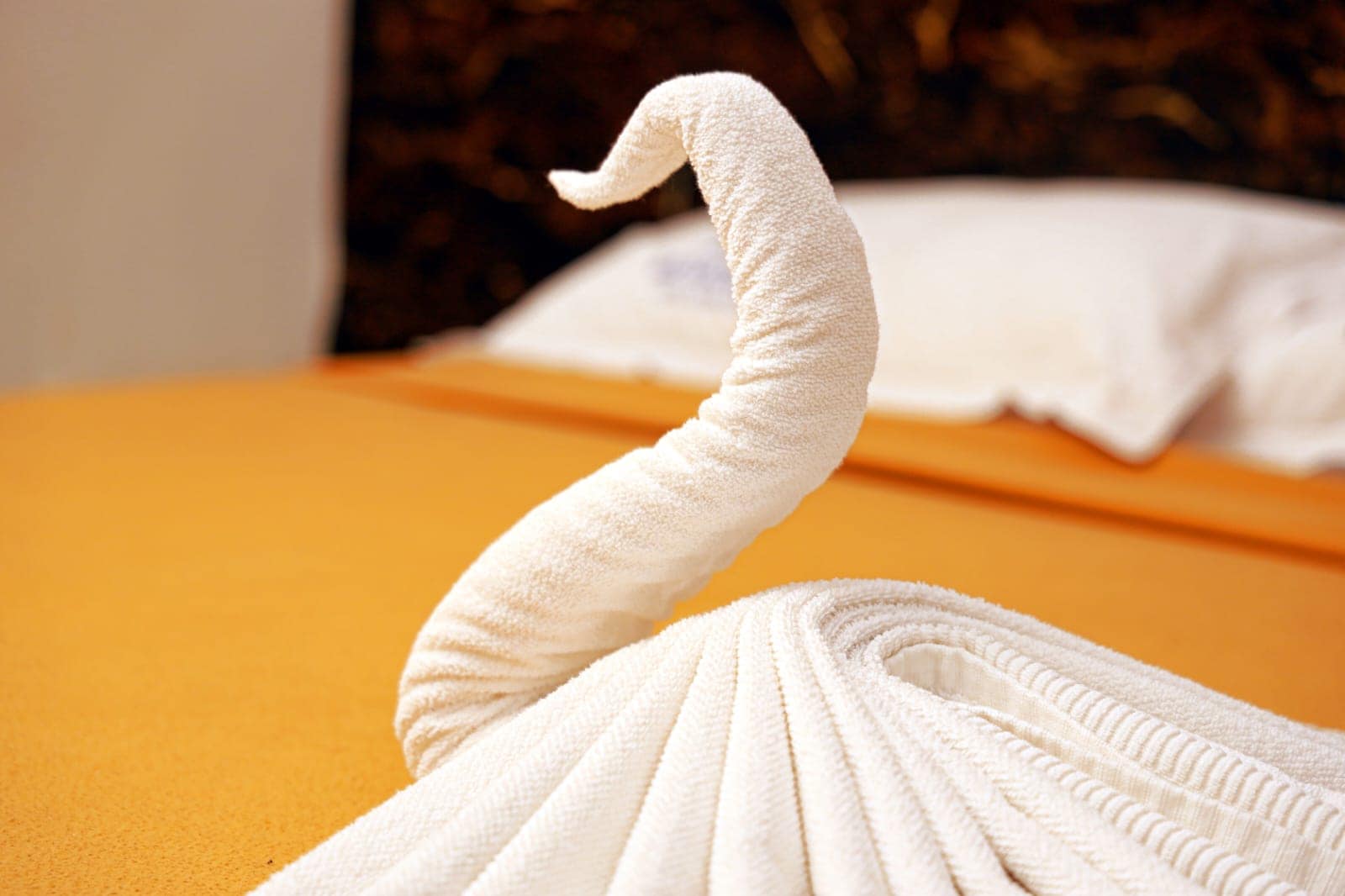 J S Residency - Tap to explore photos