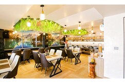 Culture by BVH Hospitality
