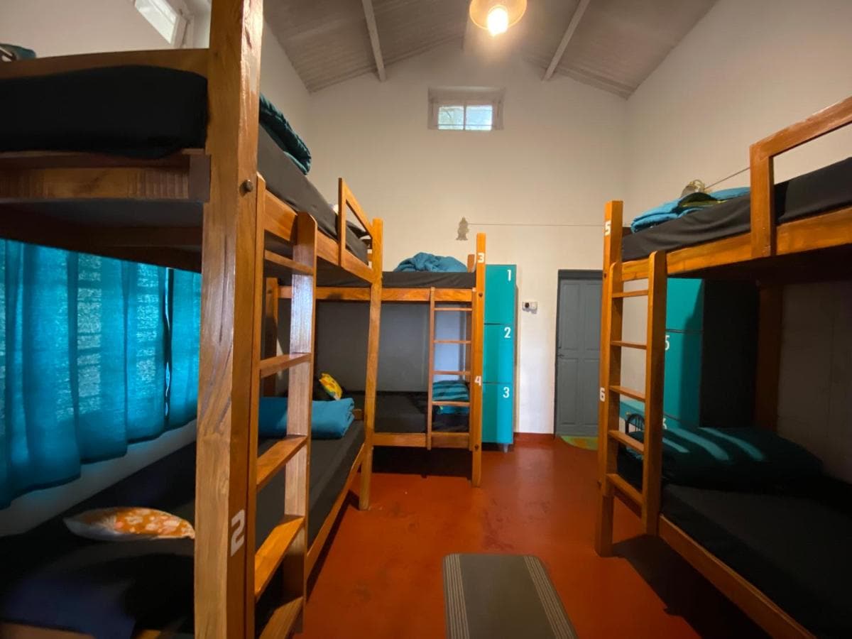 The Birdhouse Backpackers Hostel - Tap to explore photos