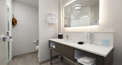 Hampton Inn & Suites by Hilton McAllen Room Type - 1 KING BED SOFA NONSMOKING