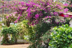 Private Room in Villa  Amanda Green Heritage Homestay