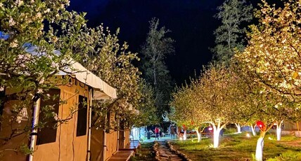 Camp Cloud9miles | Swiss Tents & Cottage Room Type - Deluxe Swiss Tents With Hill View Camp Cloud9miles | Swiss Tents & Cottage Room Type - Deluxe Swiss Tents With Hill View