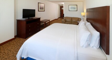 Holiday Inn Express Nuevo Laredo Room Type - 1 King Standard Extra Floor Space
