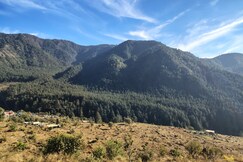 House of Deodar - Devalsari