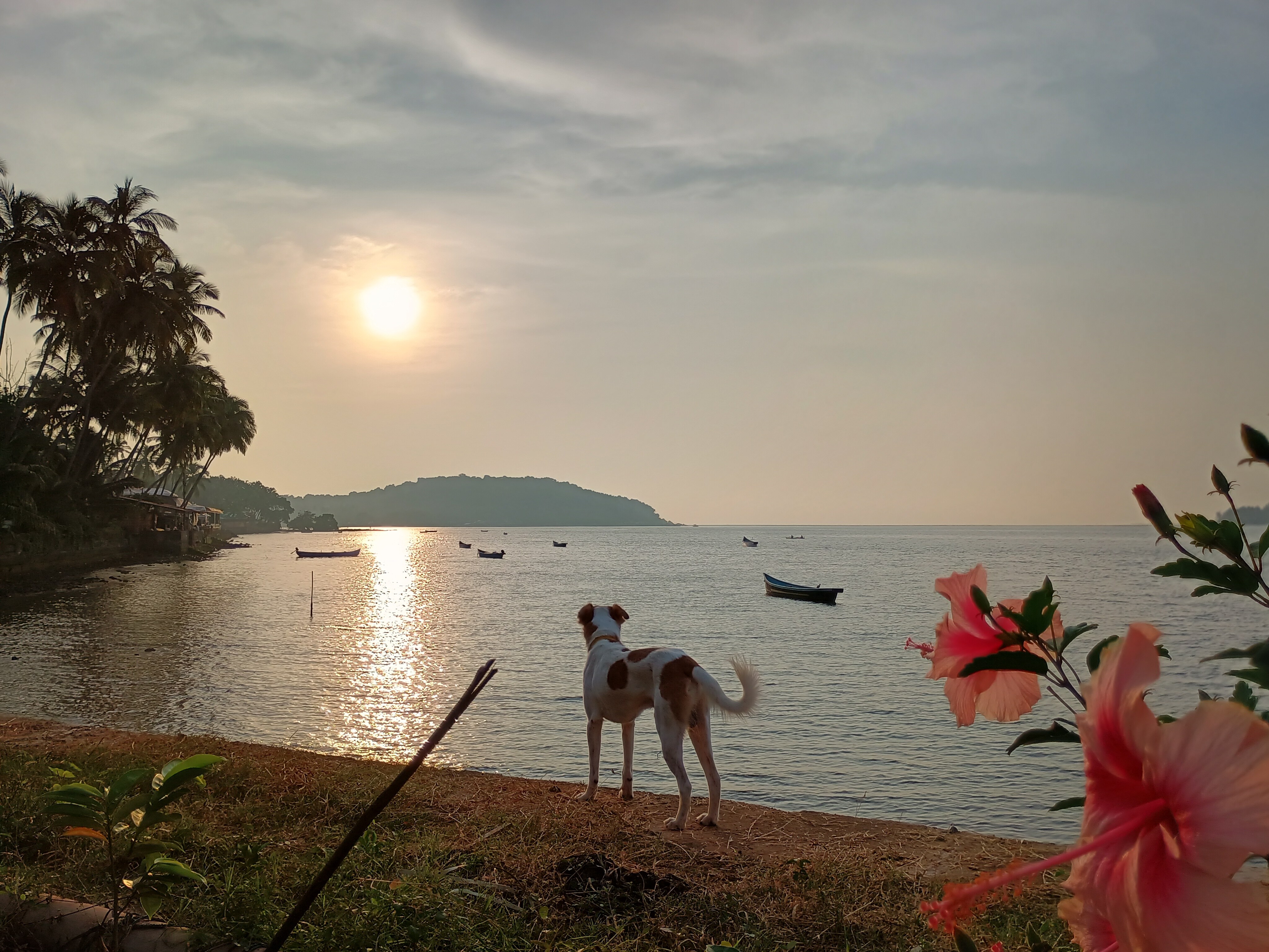 GS Home - Tap to explore photos