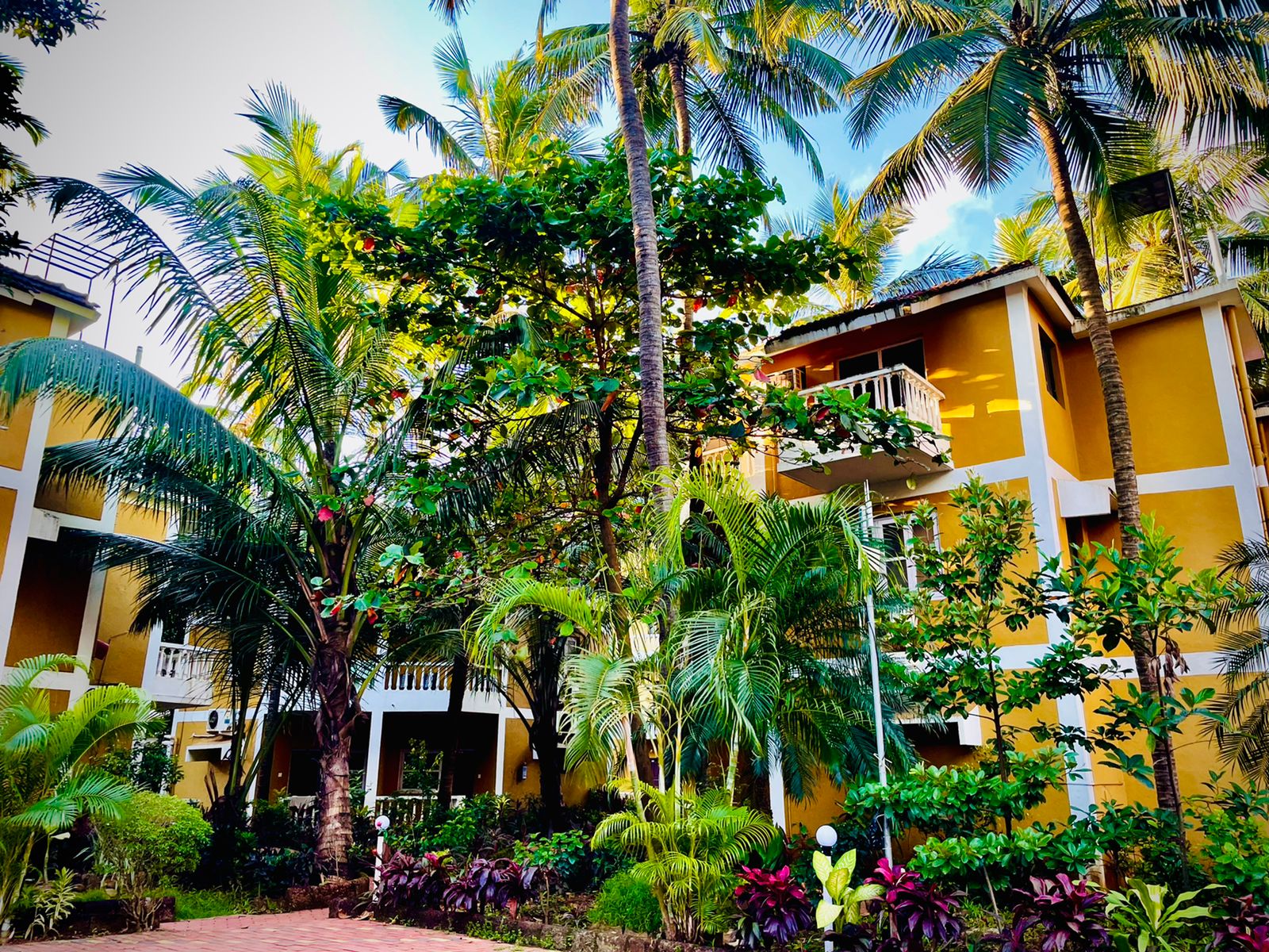 Palm Resort - Tap to explore photos