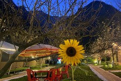 Camp Cloud9miles | Swiss Tents & Cottage