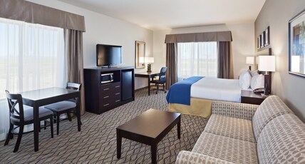 Holiday Inn Express & Suites DEMING MIMBRES VALLEY Room Type - 1 King Standard Sofa Bed