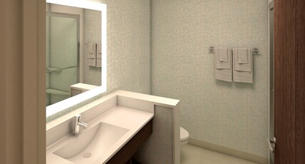 Holiday Inn Express & Suites Saugerties - Hudson Valley Room Type - 1 King Suite Mobility Accessible Tub Sofa Bed