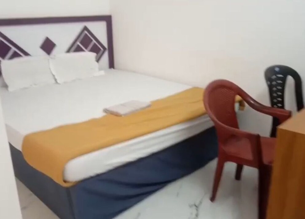 DOLPHIN - Tap to explore photos