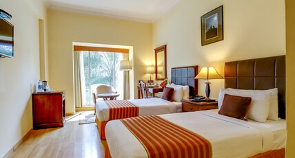 MGM Mark Whitefield Room Type - Executive Room