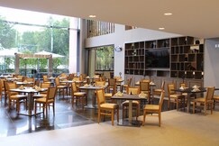 Holiday Inn MEXICO DALI AIRPORT