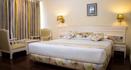 Hotel Alpine Continental Room Type - EXECUTIVE  NON AC WITH WINDOW