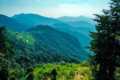 Bamboo Jungle Resort