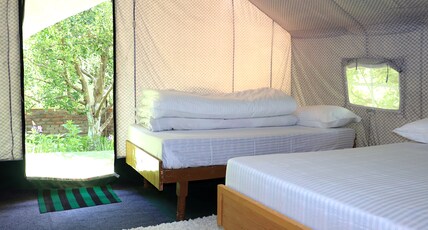 APPLE ORCHARD FARM AND CAMPING Room Type - Luxury Swiss Tents