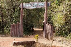 Bhimgad Adventure Camp by Jungle Lodges