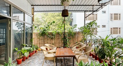 Jungle Retreat A Cozy BnB in Hauz Khas Room Type - Jungle Retreat 1-71BNB With Balcony