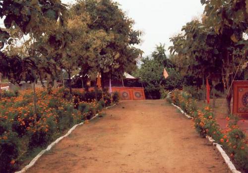 Pari desert camp - Tap to explore photos