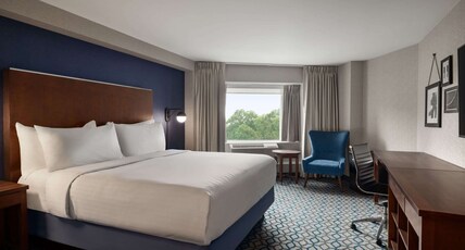 Wyndham Fallsview Hotel Room Type - 1 King Bed, Standard Room, Non-Smoking Wyndham Fallsview Hotel Room Type - 1 King Bed, Standard Room, Non-Smoking
