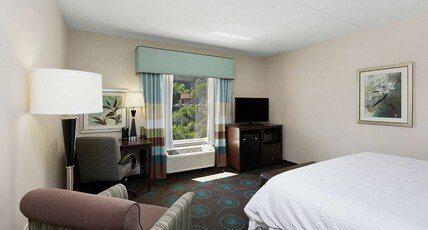 Hampton Inn Bridgeville Room Type - 1 KNG HEARING ACC NOSMOK