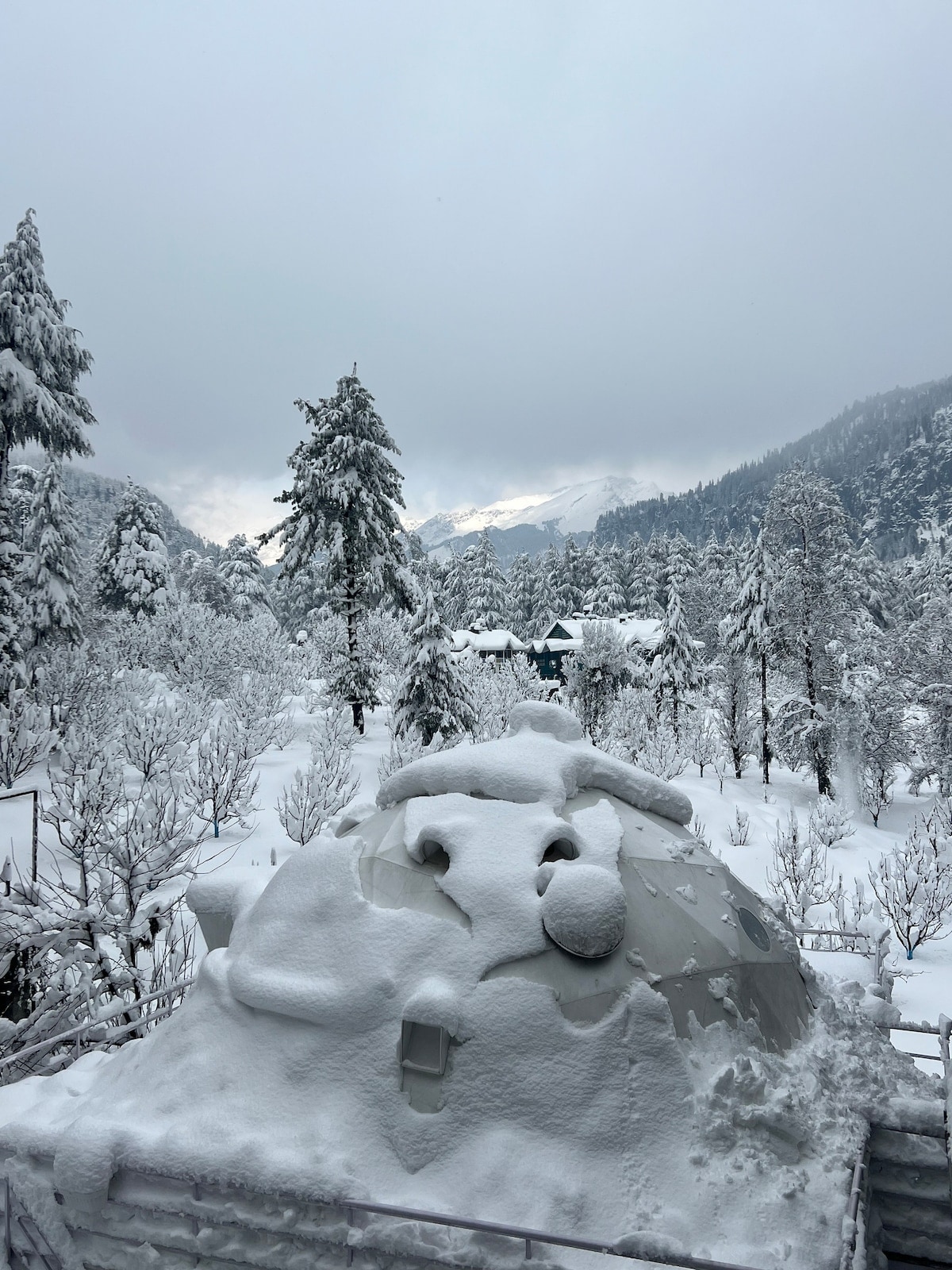 The GlampManali : Luxury Glamping Dome in Manali - Tap to explore photos